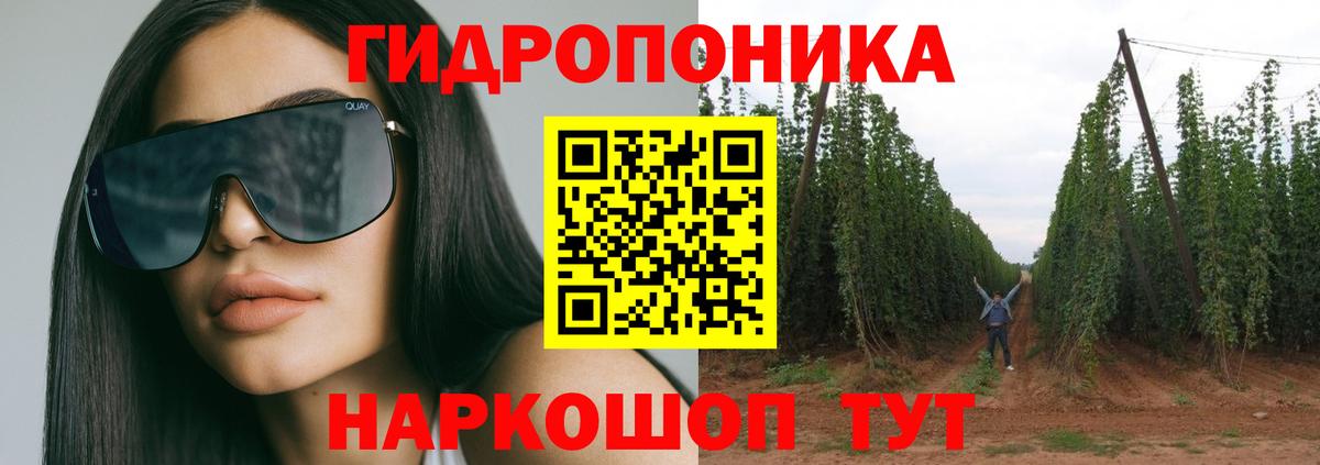 Углич  Конопля ГИДРОПОН  Шишки марихуана Amnesia  Вход с VPN  Марихуана семена 